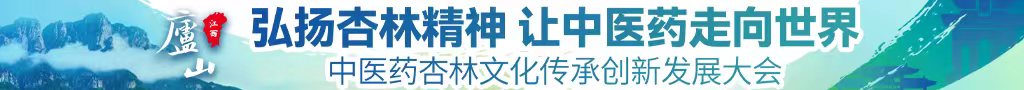 哦哦哦啊啊中出爆操中医药杏林文化传承创新发展大会